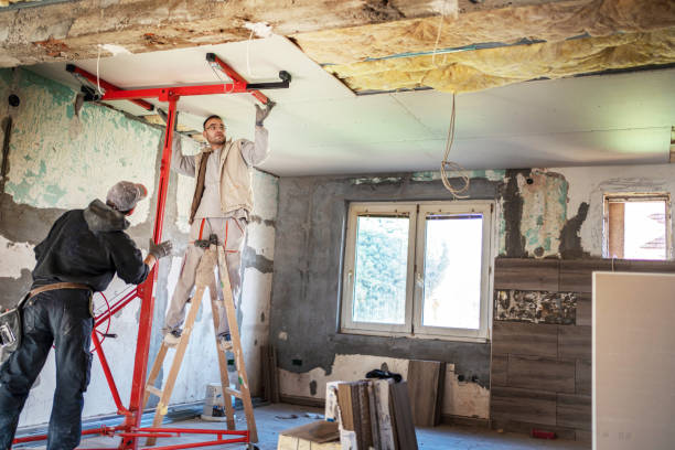 Best Eco-Friendly Insulation in Graham, WA